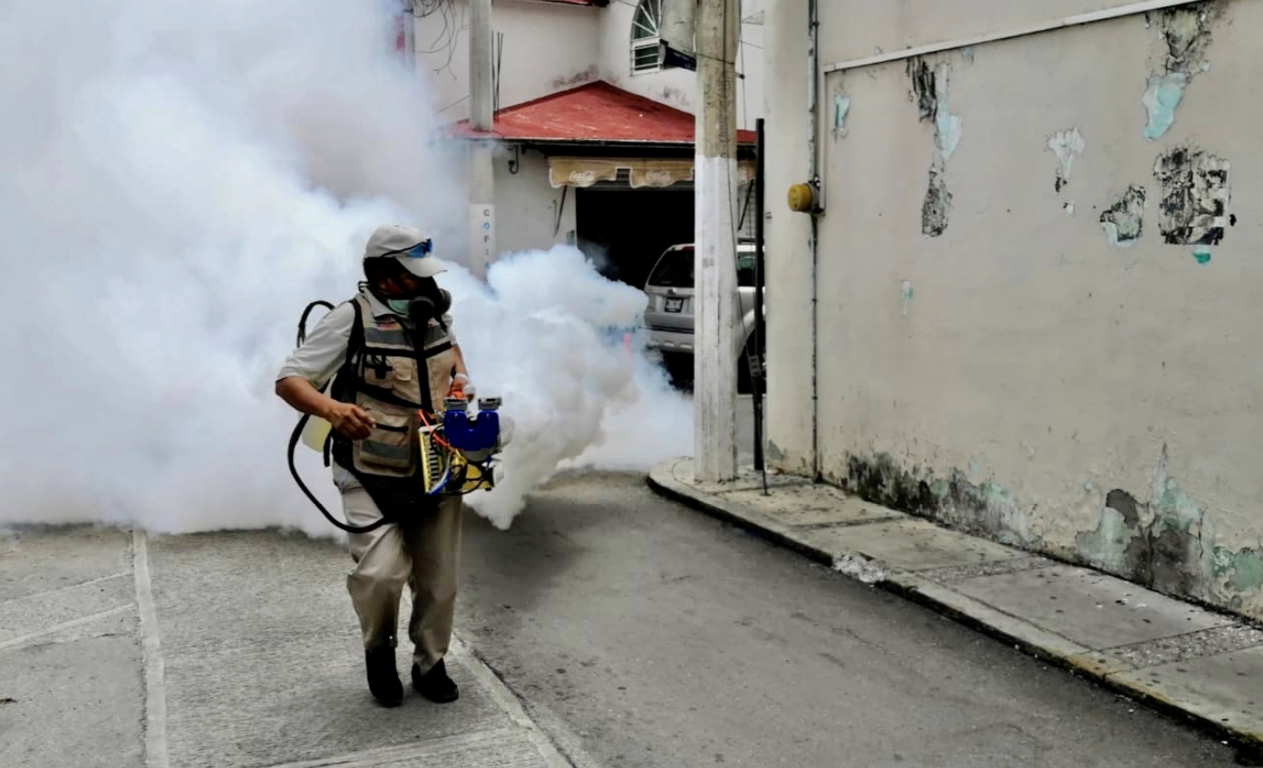 Intensifica Ayuntamiento trabajos contra enfermedades por vector