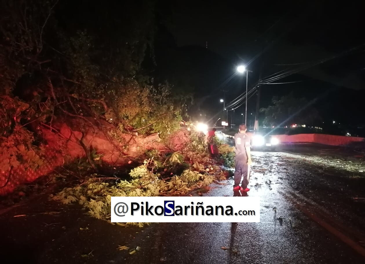 VIDEO | Dejan lluvias derrumbes ligeros en Acapulco