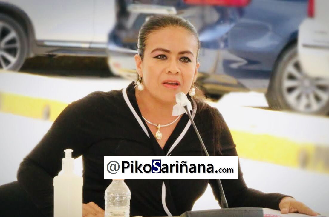 Hasta ocho años de prisión por talar ilícitamente arboles, propone diputada