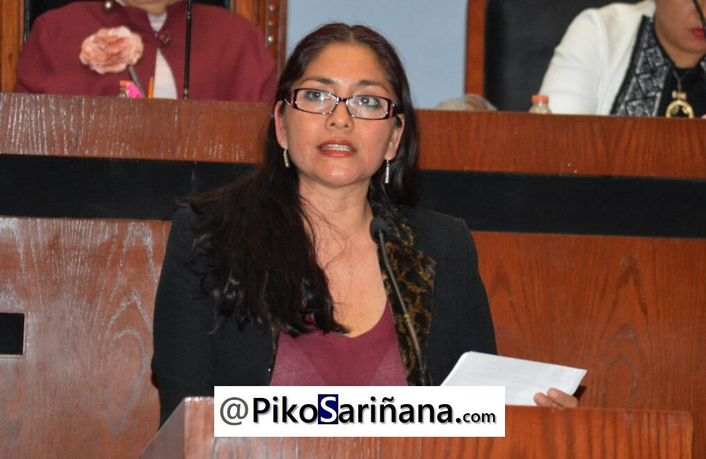 Propone diputada: revocar licencia definitivamente a conductores que provoquen muerte
