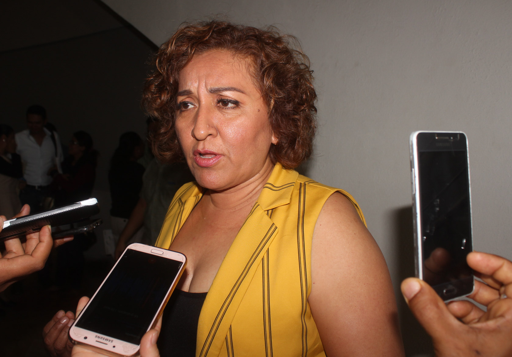 Pide diputada de Morena excluir a Beatriz Mojica de proceso interno