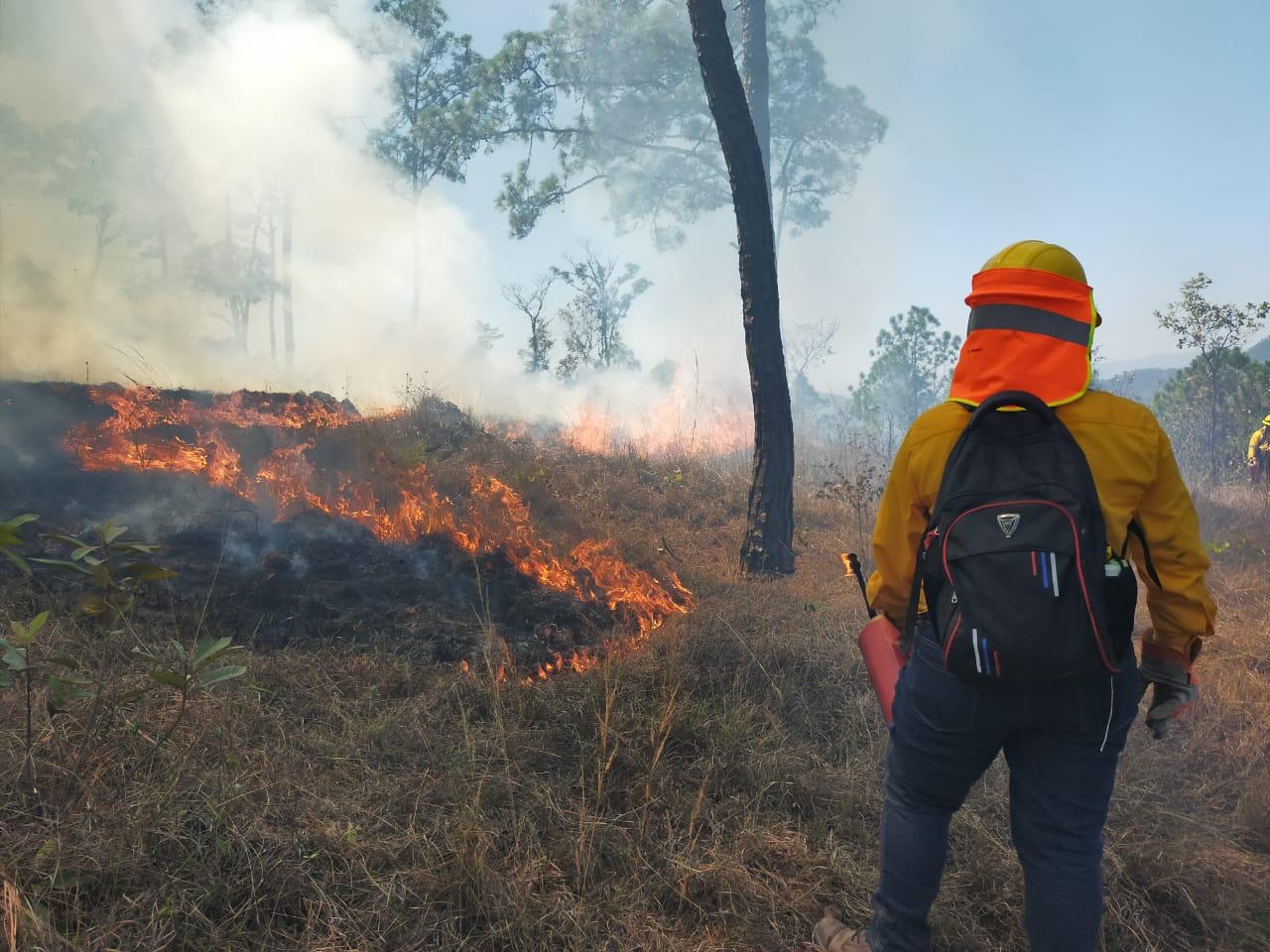 Trazan líneas negras para proteger a ejidos de incendios forestales, informa el Ayuntamiento de Chilpancingo