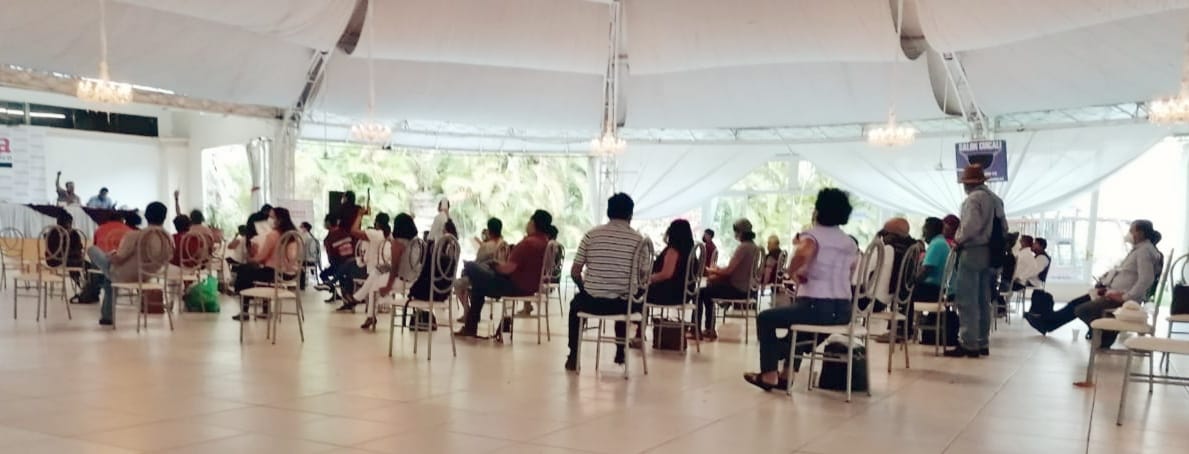 Confirma Morena género en 25 de los 28 distritos locales