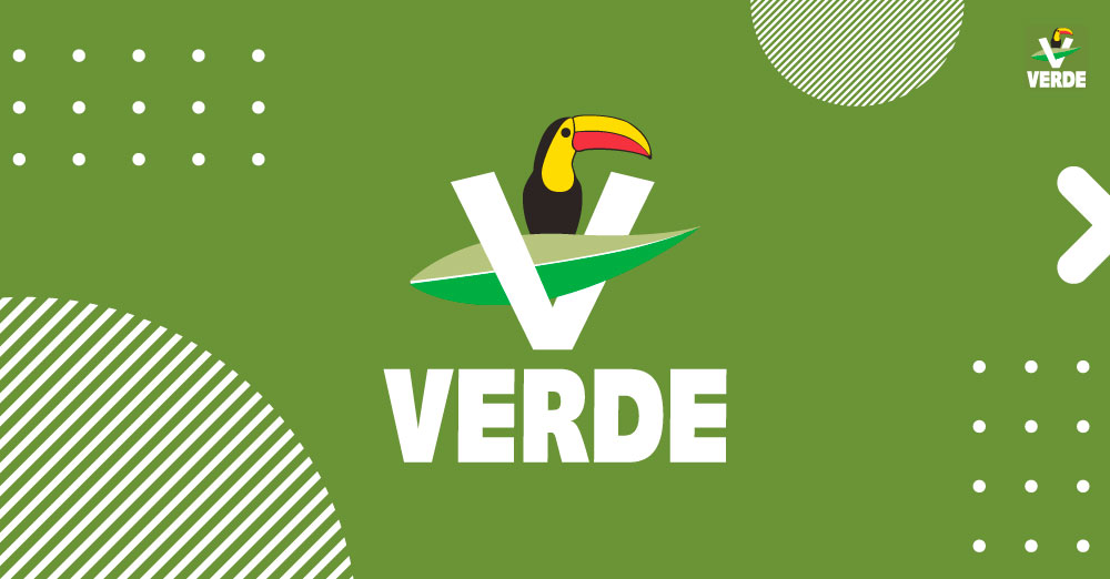Exige PVEM a candidata recular apoyo a Morena o renunciar a candidatura
