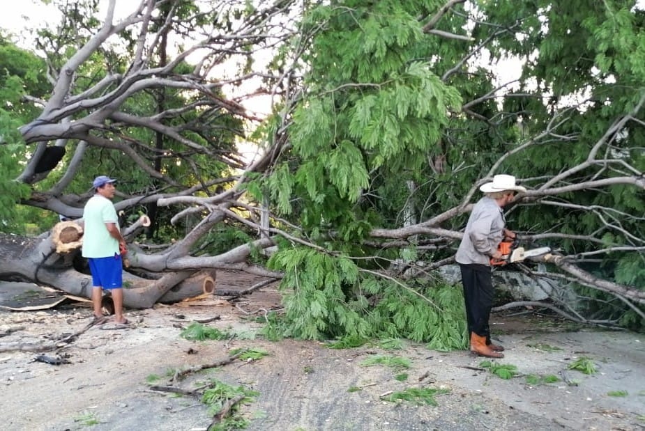Solo afectaciones menores dejan recientes lluvias en Acapulco