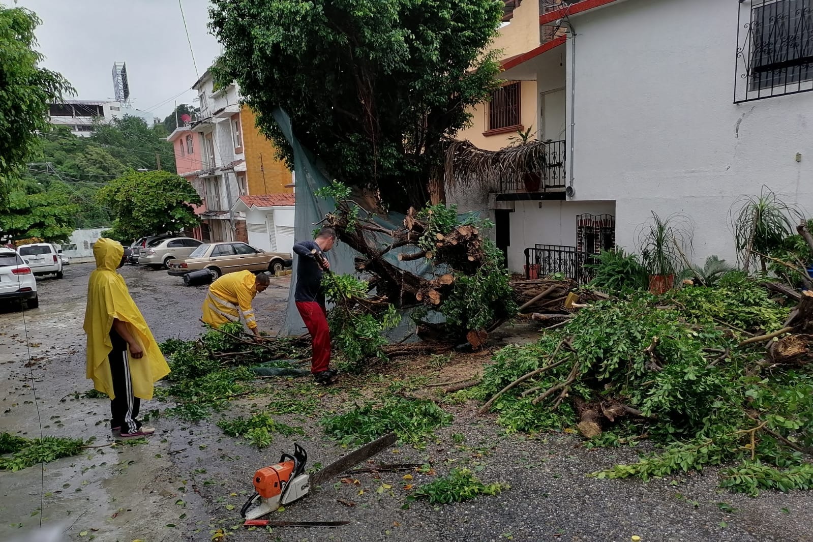 Deja Rick en Acapulco bardas colapsadas y árboles caídos en las últimas 12 horas