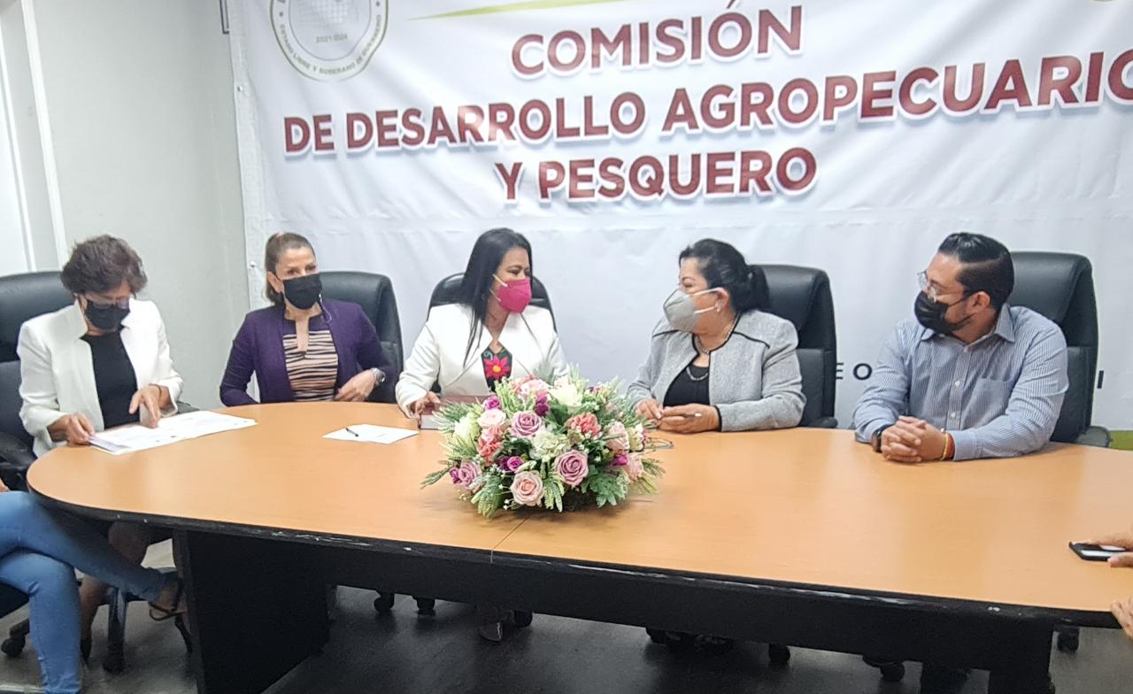 Este sábado concluye la recepción de las leyes de ingresos de los municipios: Flor Añorve