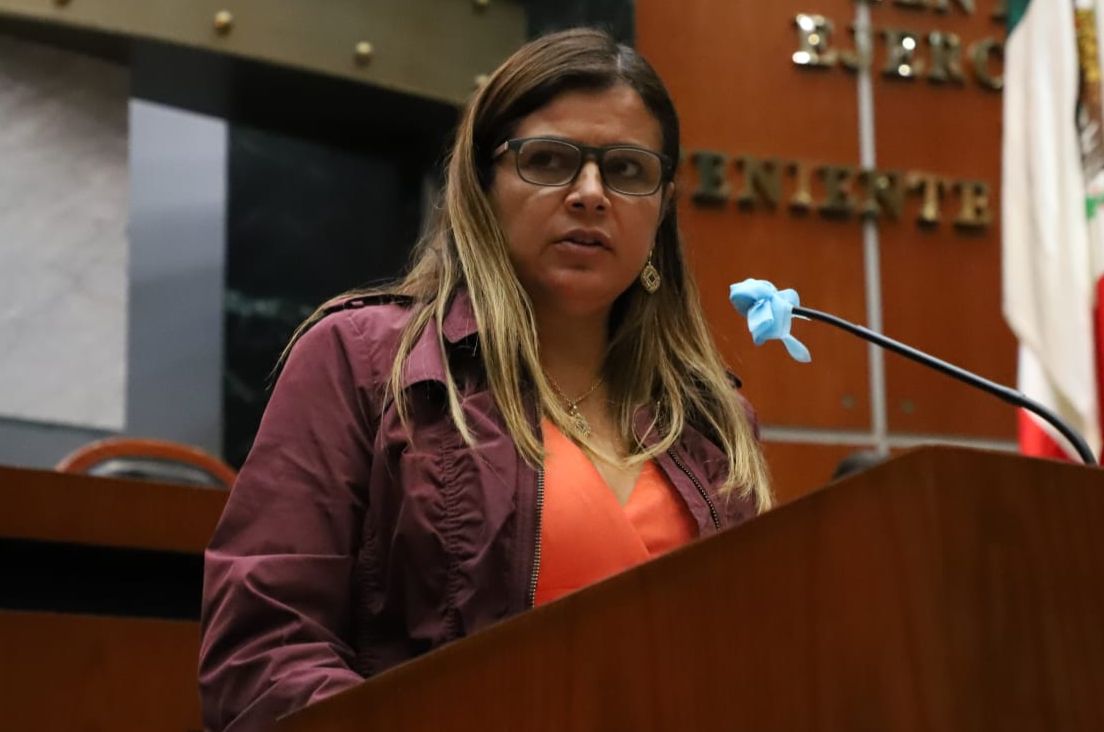 Analiza Congreso iniciativa de la diputada Fernández para prohibir matrimonios infantiles