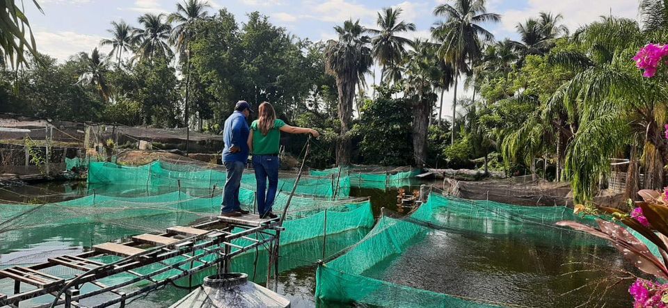 Impulsa Julieta Fernández la producción de tilapia en Guerrero