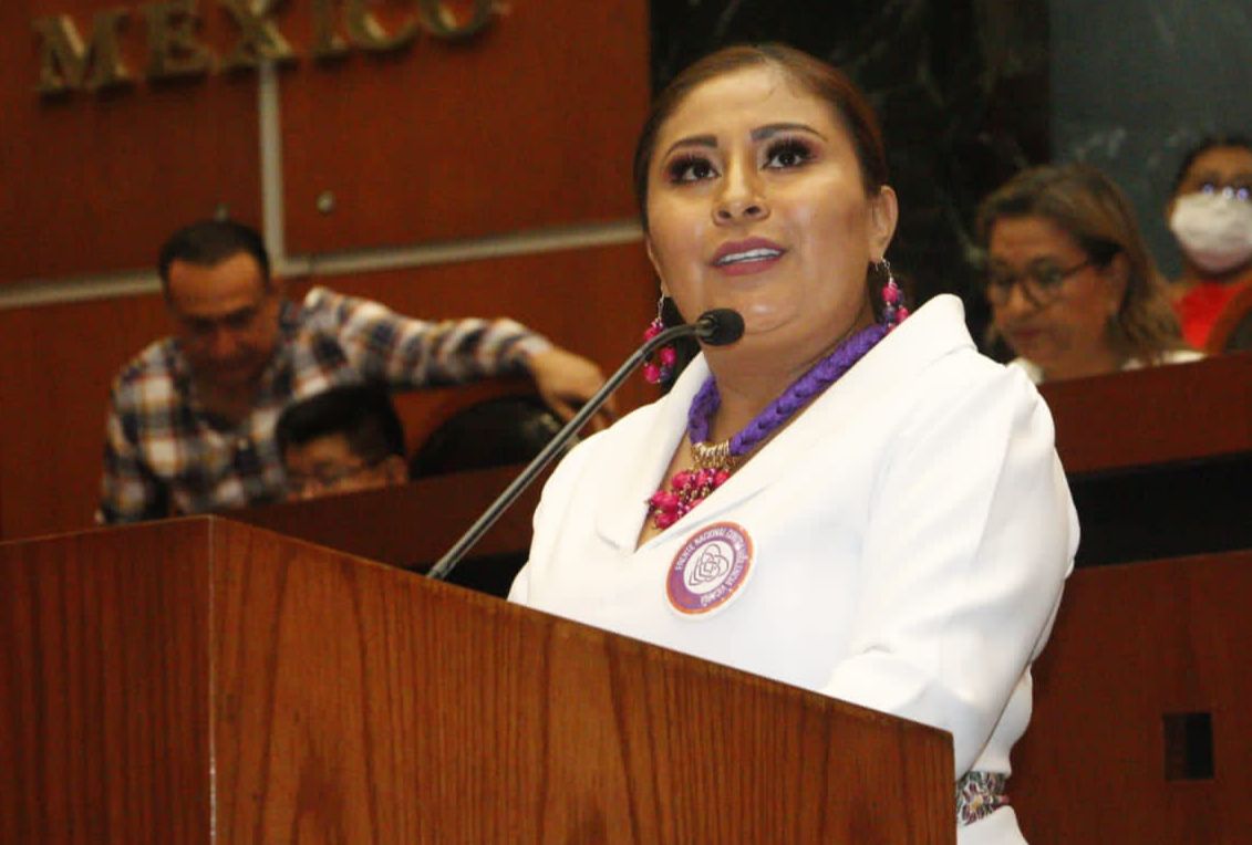 Violencia a mujeres a través de sus hijos ya será sancionada, celebra diputada Jessica Alejo Rayo