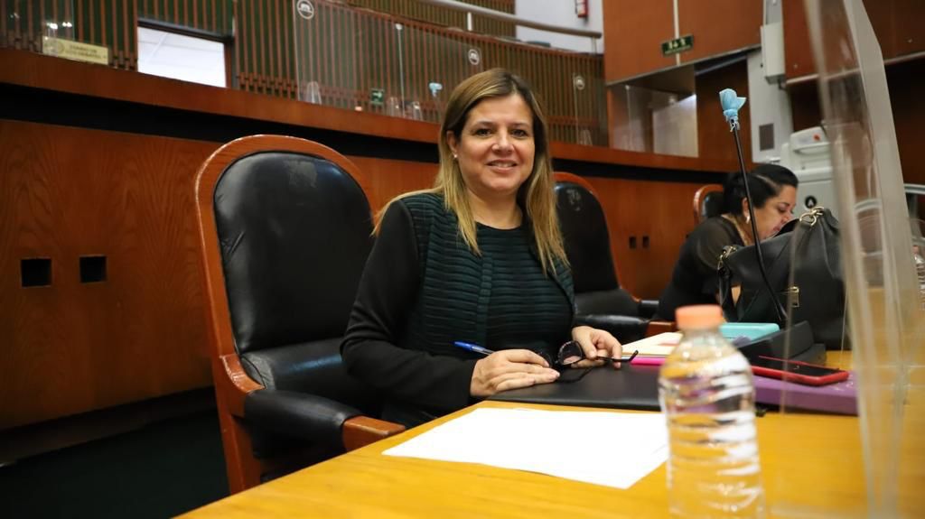 Propone Julieta Fernández plazo para que Ayuntamientos entreguen informe de actividades