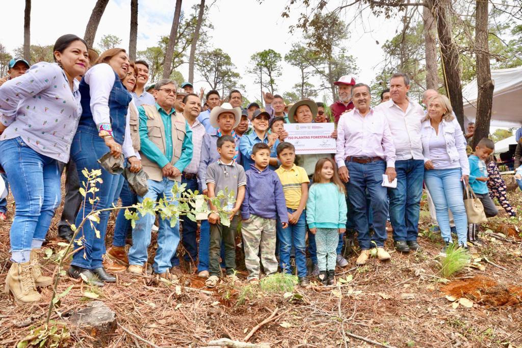 En 2023 serán reforestadas más de 350 hectáreas con más de 300 mil plantas: Evelyn Salgado