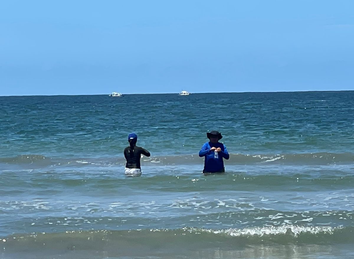 Las playas de Guerrero, aptas para uso recreativo de acuerdo al muestreo de Cofepris