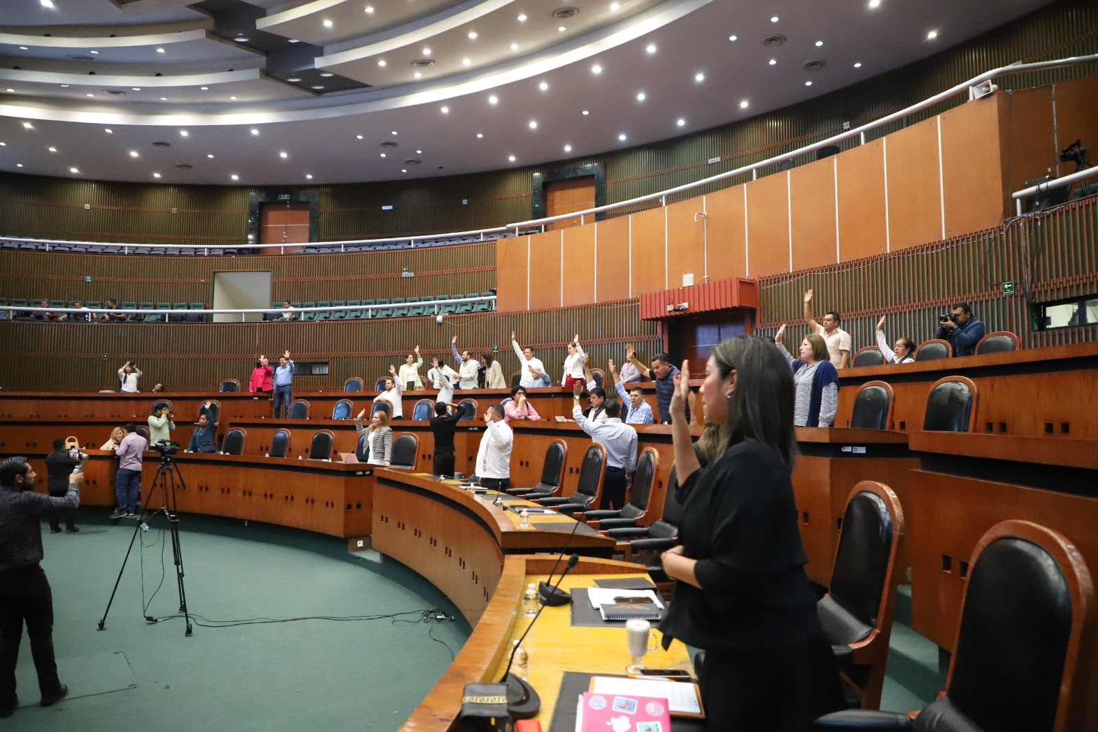 Pide Congreso a Salud federal y estatal y ayuntamientos prevenir enfermedades transmitidas por vector