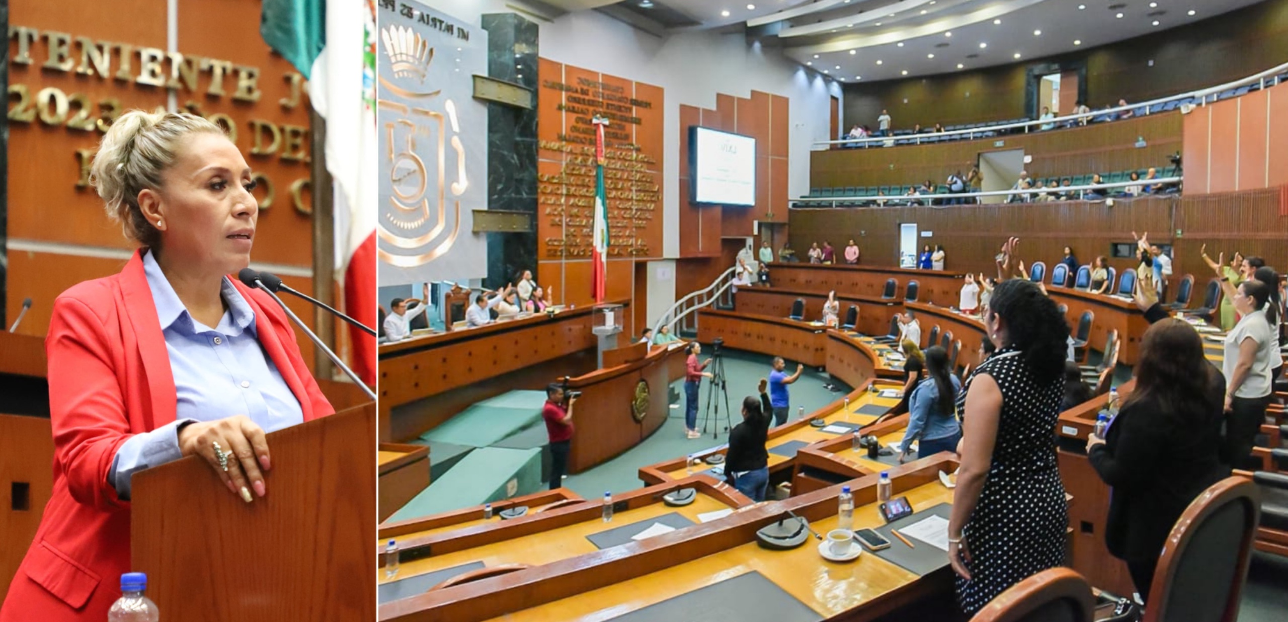 Pide Congreso del Estado a 9 municipios atender medidas por alerta de violencia de género