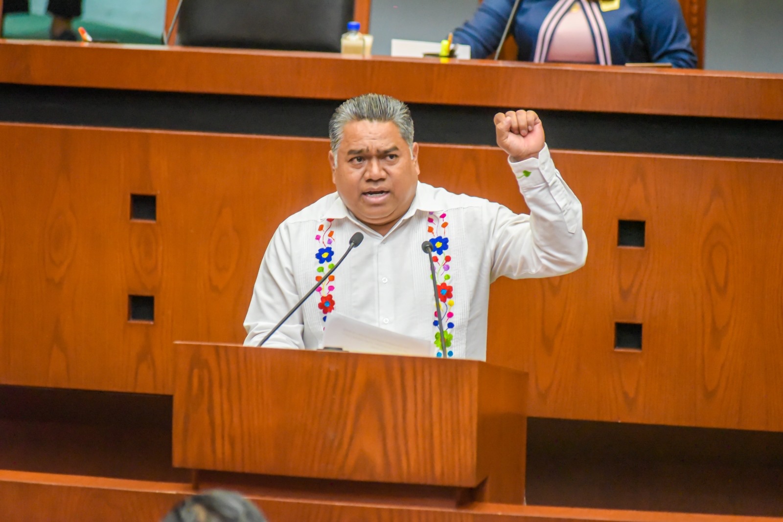 Plantea diputado reconocer la discapacidad intelectual jurídicamente para garantizar protección y atención