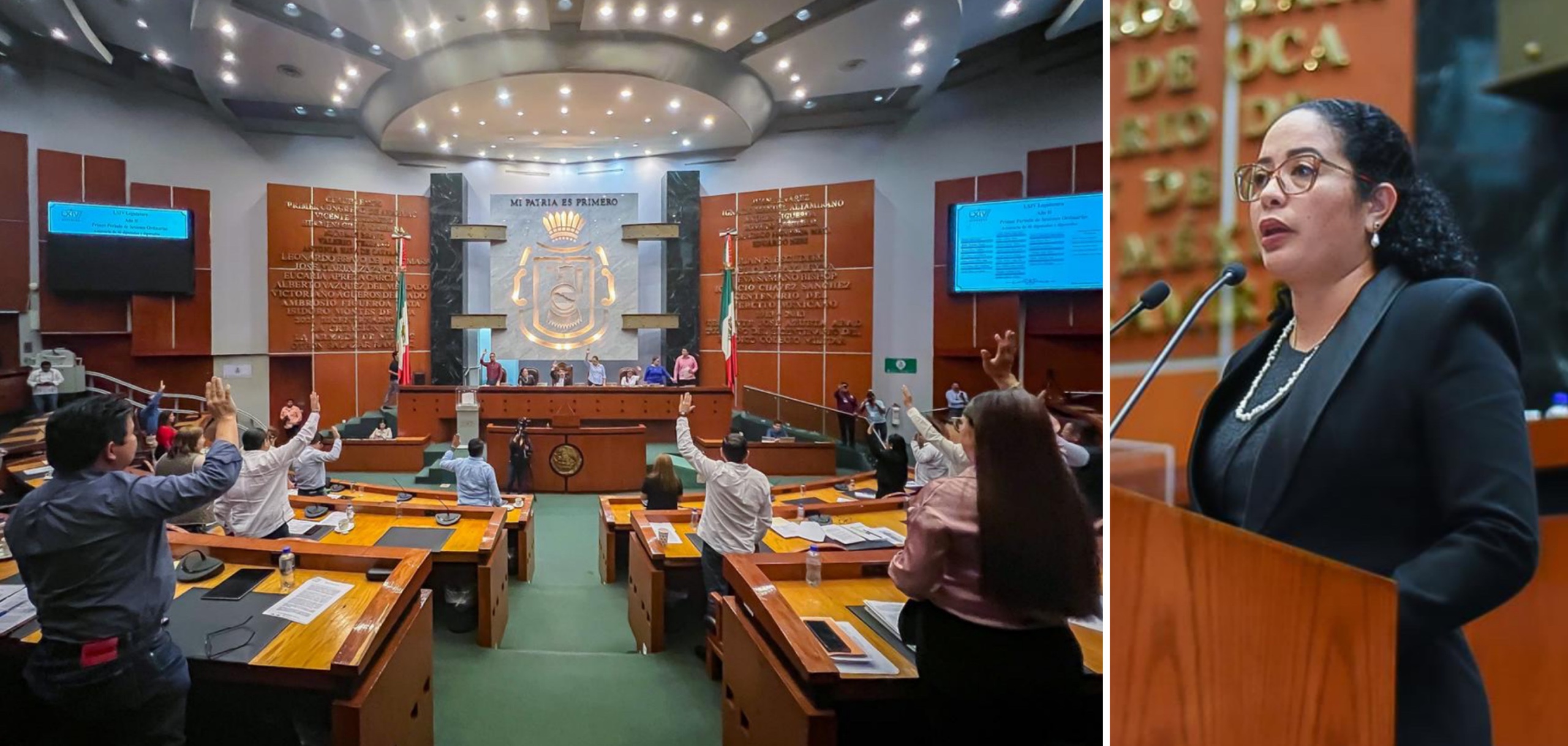 Pide Congreso del Estado a Salud y a Ayuntamientos un «plan estratégico e integral» contra el dengue