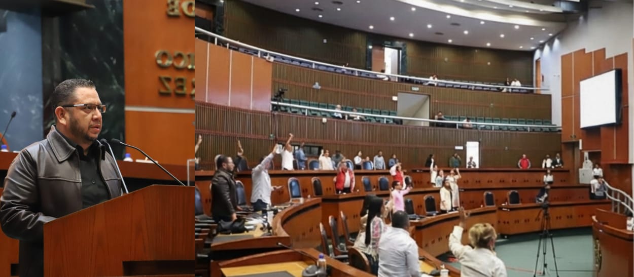 Pide Congreso a Ayuntamientos de Guerrero impulsar campañas de cuidado animal