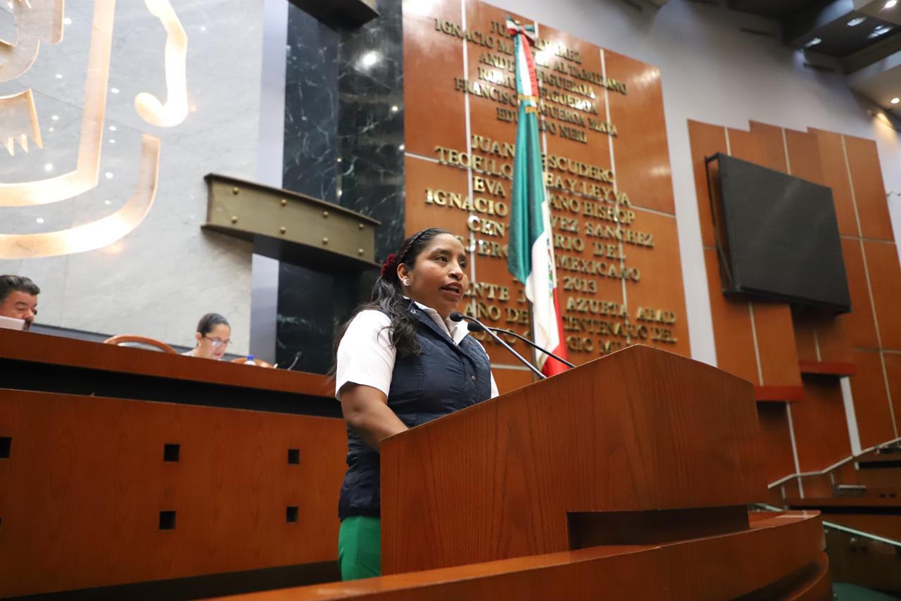 Propone diputada reconocer en la Constitución a los pueblos indígenas