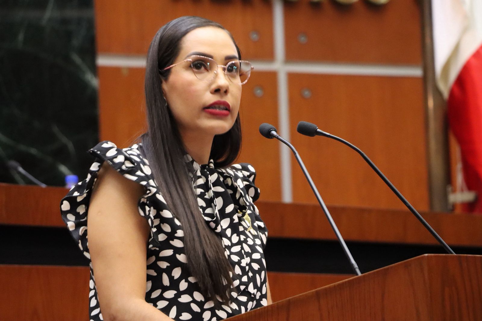 Ayuntamientos de Guerrero deberán publicar Programa Anual de Evaluación, plantea diputada