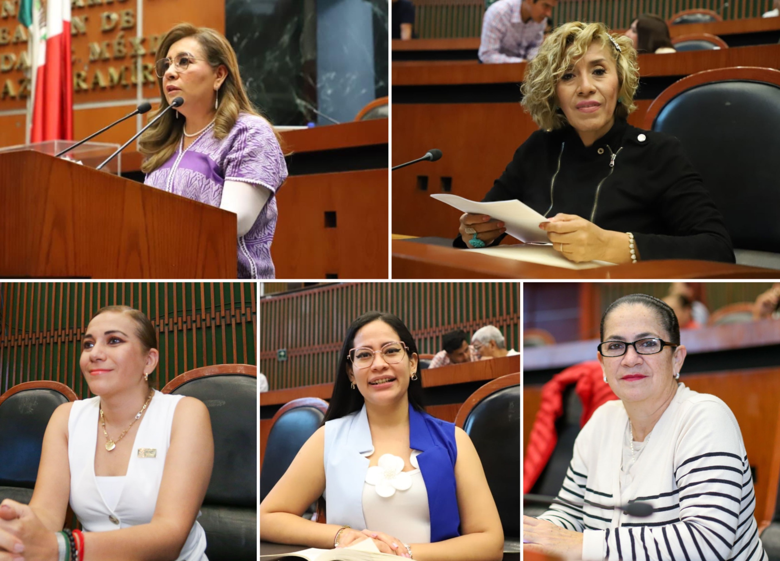 Prohibir candidaturas a agresores y deudores alimentarios, proponen en el Congreso de Guerrero