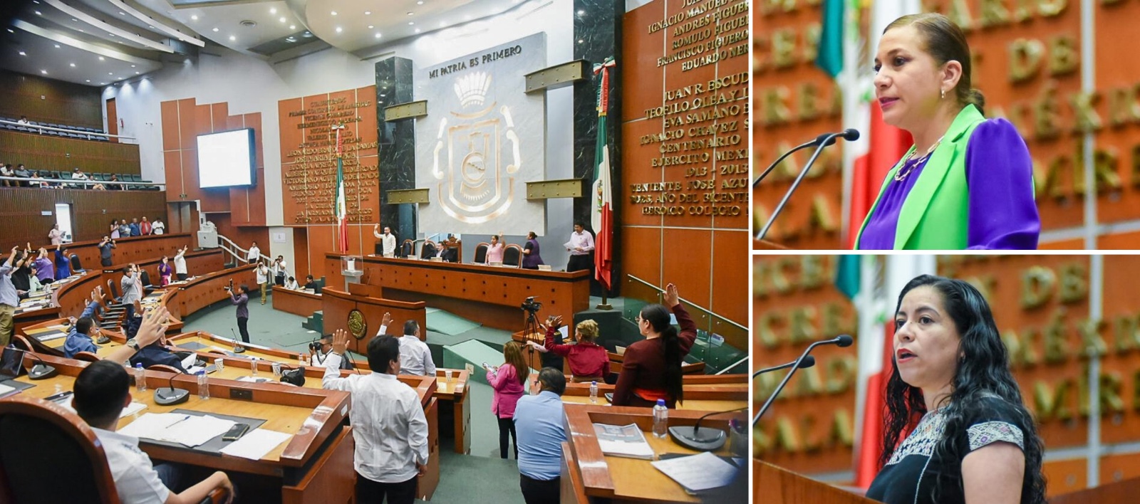 Pide Congreso de Guerrero a Semaren recursos y programas para preservar el jaguar