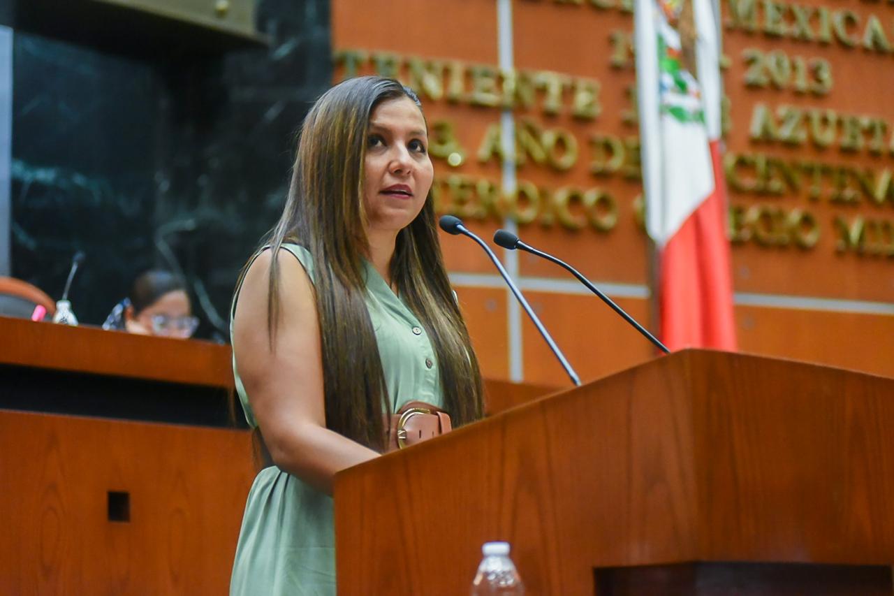 Presentan en el Congreso de Guerrero una iniciativa para reconocer los CECOFAM