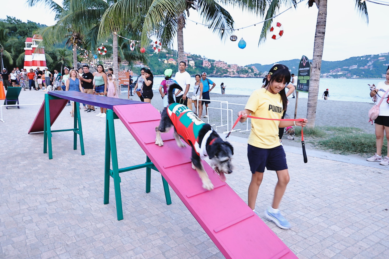 Una gran fiesta se vivió en Zihuatanejo con el Rally Canino del Verano Kids