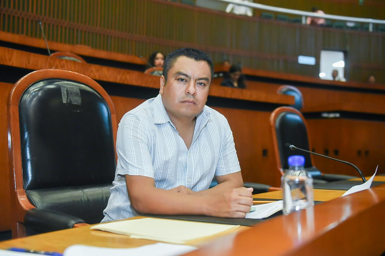 Plantean en el Congreso de Guerrero reformas para garantizar reposición de zonas verdes afectadas por construcción de obras