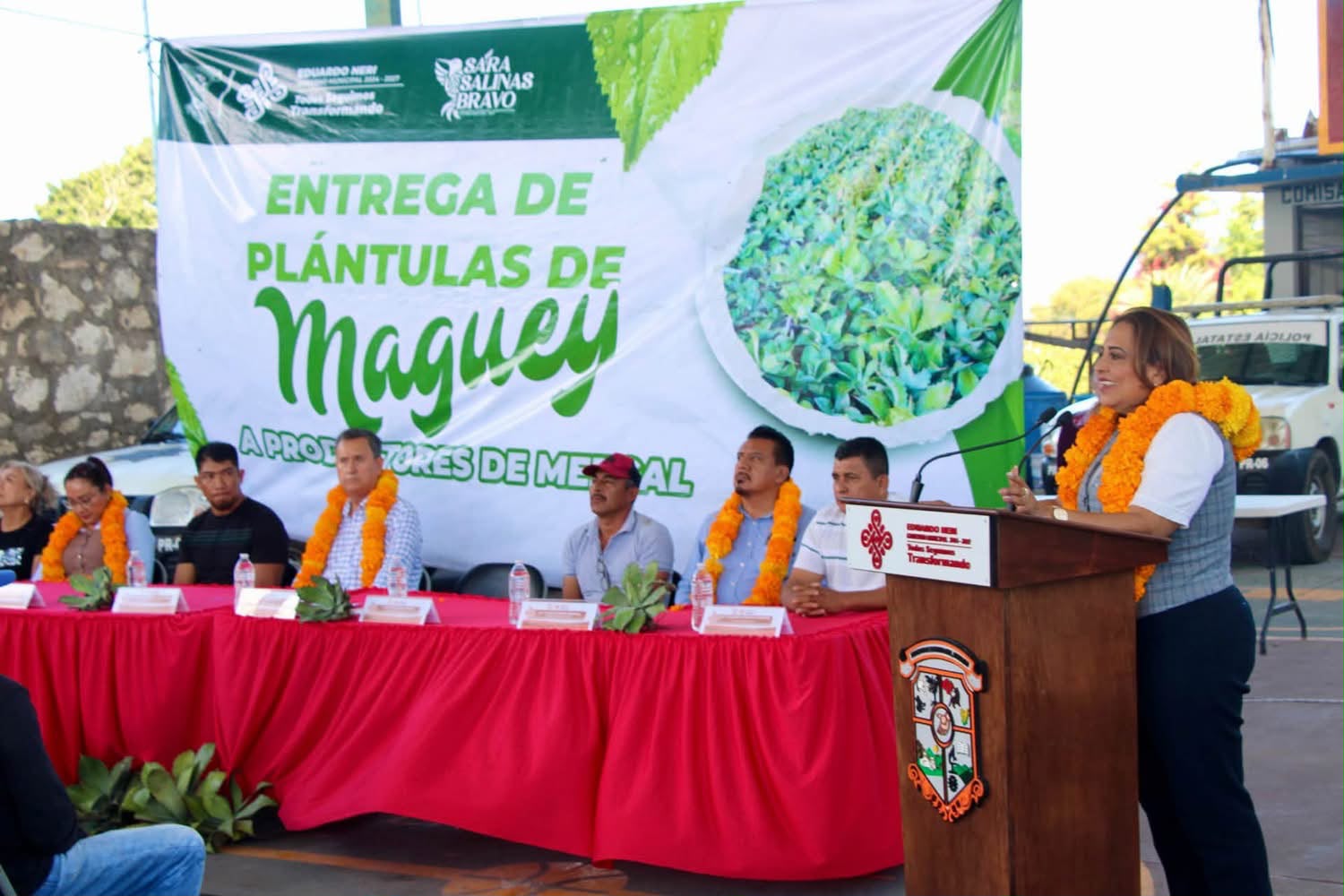 Con la entrega de plántulas de maguey se fortalece la actividad mezcalera en Eduardo Neri