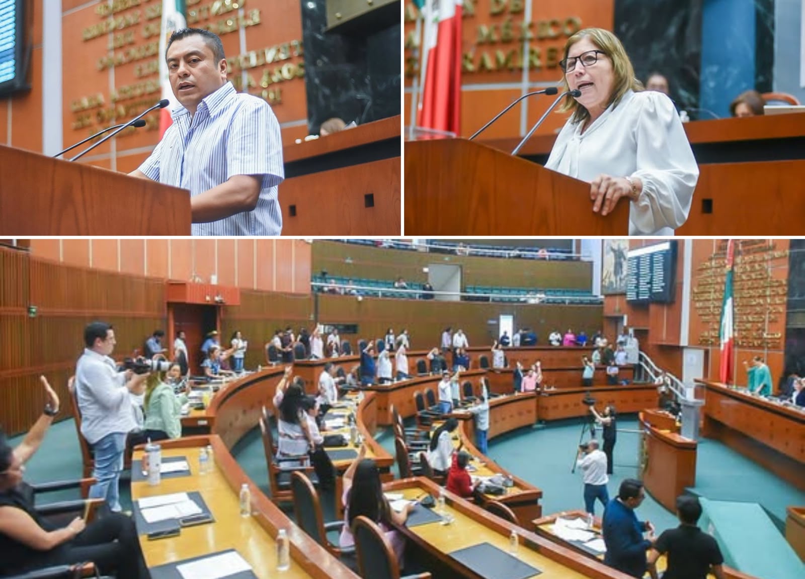 Pide Congreso de Guerrero informe pormenorizado sobre la atención a la salud mental